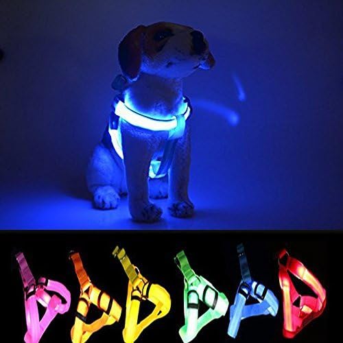 LED Dog Harness,Paperflower Flashing Strong Waterproof Nylon Webbing Visible Led Light Harness Used for Safe Walking Hiking and Jogging (M, Blue)