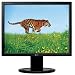 LG Electronics Flatron L2000CP-BF 20inch LCD Monitor Black 4:3 300 Nit DVI-VGA Energy Star