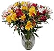 Mix and Match - Peruvian Lilies - Fresh Cut California Flowers - Single Bouquet - 25 Stems