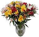 Mix and Match - Peruvian Lilies - Fresh Cut California Flowers - Single Bouquet - 25 Stems