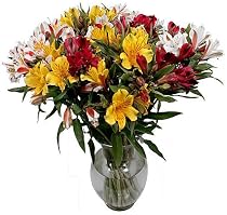 Mix and Match - Peruvian Lilies - Fresh Cut California Flowers - Single Bouquet - 25 Stems