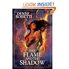 The Flame and the Shadow