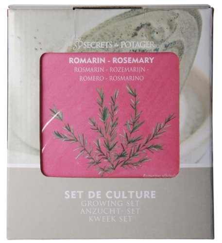 Esschert Design USA 3500 Secrets du Potager Rosemary Herb Growing Set