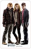 Harry, Hermoine & Ron Group (Harry Potter and the Deathly Hallows) Mini Standup Poster 51iyXZiL01L. SL160 Harry, Hermoine & Ron Group (Harry Potter and the Deathly Hallows) Mini Standup Poster