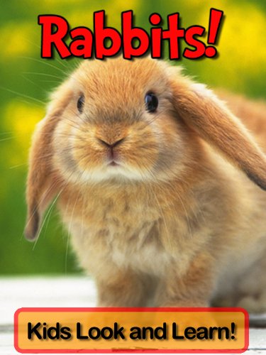 Rabbits! Learn About Rabbits and Enjoy Colorful Pictures - Look and Learn! (49+ Photos of Rabbits)