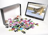 Photo Jigsaw Puzzle of Canadian Lynx from Ardea Wildlife Pets
