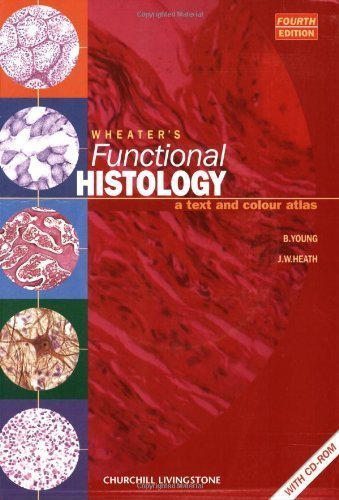 By Barbara Young: Wheater's Functional Histology: A Text and Colour Atlas (Book with CD-ROM) Fourth (4th) Edition