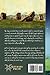 The Sacred Stone Circles of Stanton Drew