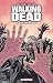Ceux qui restent (Walking Dead, #9)