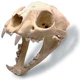Mountain Lion W/Stand Antique Finish