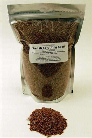 2.5 Lbs Radish Sprouting Seed - Certified Organic - 2.5 Lb. Re-sealable Pouch - High... by Living Whole Foods