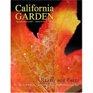 California Garden by 