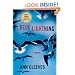 Blue Lightning: A Thriller (Shetland Island Thrillers)