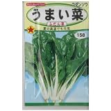 □うまい菜ふだん草