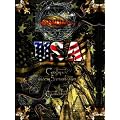 Pegasus Spiele 42005G - USA:Gro�macht/Sternenbanner