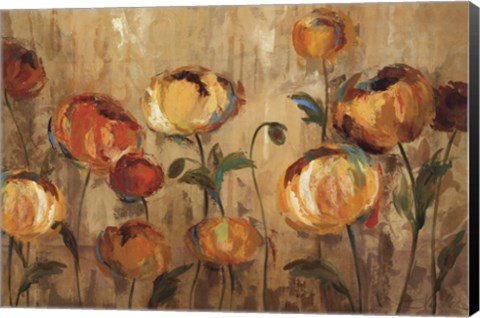 Joyful Ranunculi – Canvas