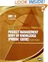 A Guide to the Project Management Body of Knowledge: (Pmbok Guide)