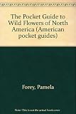 The pocket guide to wild flowers of North America