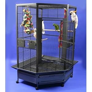 Jasper Corner Bird Cage Color – Pure White