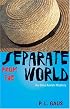 Separate from the World: An Ohio Amish Mystery