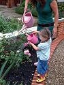 Watering Can Pink