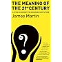 The Meaning of the 21st Century: a Vital Blueprint for Ensuring Our Future