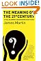 The Meaning of the 21st Century: A VItal Blueprint of Ensuring Our Future