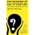 The Meaning of the 21st Century: a Vital Blueprint for Ensuring Our Future