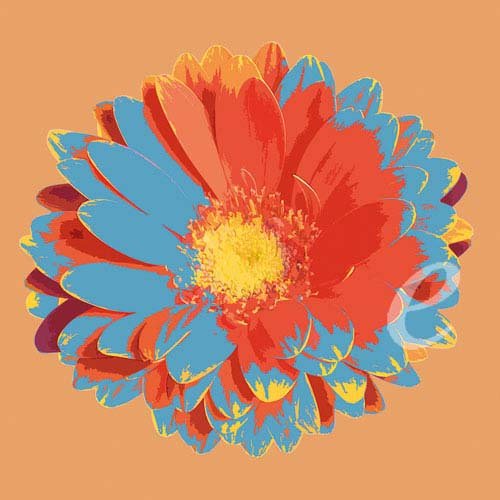 Jan Lens Flower IV Kunstdruck Retro Blume