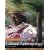 Cultural Anthropology with Living Anthropology Student CD (12th Edition)