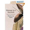 Dinosaur in a Haystack