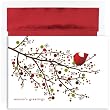 Cardinal On Branch Holiday Cards -
