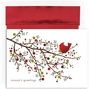 Cardinal On Branch Holiday Cards -