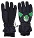 N'Ice Caps Kids Cute Animal Faces Cold Weather Thinsulate Waterproof Gloves