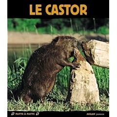 Le castor