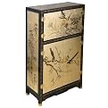 Storage Cabinet - Black/ Gold