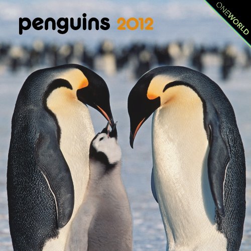 Penguins 2012 7X7 Mini Wall Calendar