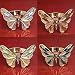 Kitchen & Housewares : BUTTERFLY NAPKIN RINGS - SET OF 4 BUTTERFLY NAPKIN RINGS