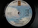 ANDREW GOLD Lonely Boy 7" 445