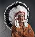 All Products : Native American Shadow Warrior Headdress or War Bonnet