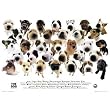 The Dog (Chart) Art Poster Print - 24x36