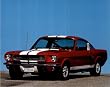 Ron Kimball (1966 Red Ford Shelby GT 350 Mustang) Photo Print Poster - 16x20
