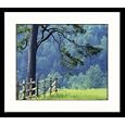 Great American Picture IS223282 Allegheny Mountains Virginia Framed Photograph - Everett Johnson