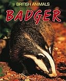 Badger