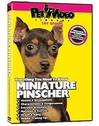 MINIATURE PINSCHER DVD + Dog & Puppy Training