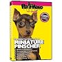 MINIATURE PINSCHER DVD + Dog & Puppy Training