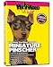 MINIATURE PINSCHER DVD + Dog & Puppy Training