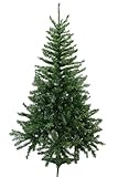 ���Ͳ����������ȡ��ۥ��ꥹ�ޥ��ĥ꡼ 150cm ���ͥƥ����åȥĥ꡼ [�̡��ɥĥ꡼]