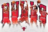 Bulls - Team 2011 Poster Poster Print, 34x22