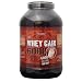 NutrinaX Whey Gain 6000 - Weight Gainer Kohlenhydrate/Protein Pulver,Geschmack:Schoko, 6000g Dose